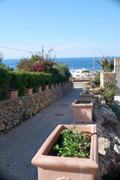 San Vito Apartament Polignano a Mare Exterior foto